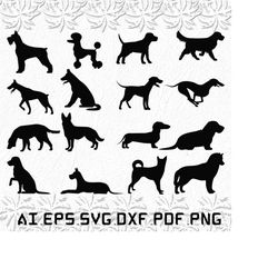 dog breeds svg, dog breed svg, pet svg, dog, cute, svg, ai, pdf, eps, svg, dxf, png