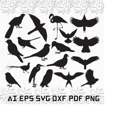 cucko svg, cuckos svg, bird svg, birds, lover, svg, ai, pdf, eps, svg, dxf, png