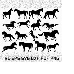 horse svg, beautiful horse svg, cowgirl fabric, wide backing fabric, svg, ai, pdf, eps, svg, dxf, png