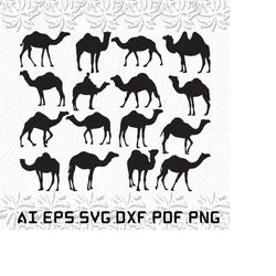 camel svg, camels svg, animals svg, animal, arabi, svg, ai, pdf, eps, svg, dxf, png