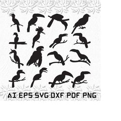 hornbills svg, hornbill svg, birds svg, fly, bird, svg, ai, pdf, eps, svg, dxf, png