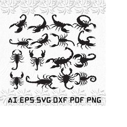 scorpion svg, scorpions svg, drape svg, rap, mk, svg, ai, pdf, eps, svg, dxf, png