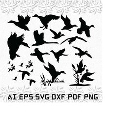 swan svg, duck svg, birds svg, animals, water, svg, ai, pdf, eps, svg, dxf, png