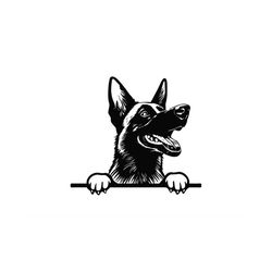 peeking belgian malinois svg, peeking belgian malinois clipart, peeking belgian malinois svg files for cricut