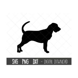 bloodhound svg, dog svg, bloodhound silhouette, bloodhound outline png, bloodhound clipart, dog pet png, dxf, cricut sil