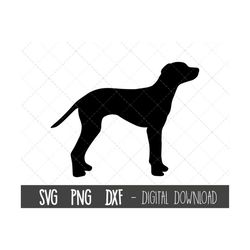 dalmatian svg, dog svg, dalmatian silhouette, dalmatian outline png, dalmatian clipart, dog pet png, dxf, dog cricut sil