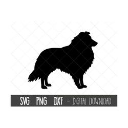 shetland sheepdog svg, dog svg, shetland sheepdog silhouette, sheepdog outline png, sheepdog clipart, dxf, cricut silhou