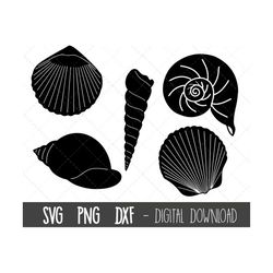 sea shell svg bundle, seashell svg, shell svg, seashell png, seashell silhouette, sea shell clipart, svg files, cricut s
