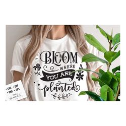 Bloom where you are planted SVG, Garden svg, Gardening svg, plants svg, Funny gardening svg, Garden sign svg,