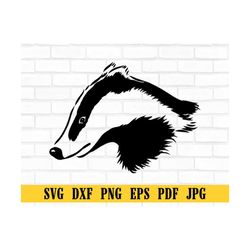 curious badger svg, honey badger svg, badger svg, badger clipart, badger files for cricut, badger cut files for silhouet