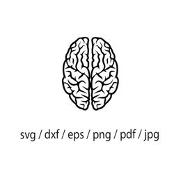 brain svg, brain cut file, brain dxf, brain png, brain clipart, brain silhouette, brain cricut, brain