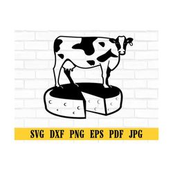 cow stand on cheese ,swiss ,wedge ,cattl, farm animal ,dairy milk ,crackers ,clipart digital download