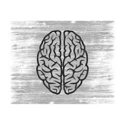 brain silhouette, brain svg, brain png, brain cricut, anatomy svg, anatomy silhouette, brain outline, brain vector, medi