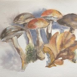 mushrooms original watercolour painting hand painted modern painting wall art original artwork 8x11 inch