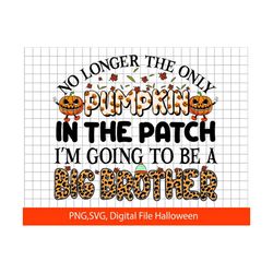 big brother fall pregnancy announcement halloween svg, pumpkin in the patch png for direct printed shirt, halloween png