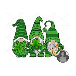 st patricks day, gnome png, saint patricks day, st patricks day png, st patricks png, shamrock png, sublimation png,png