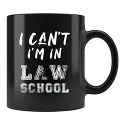 funny law student gift, law school mug, future lawyer gift, law s