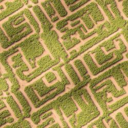 corn maze 44 pattern tileable repeating pattern