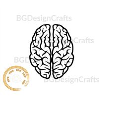 brain svg, brain dxf, brain clipart, png, svg cut file