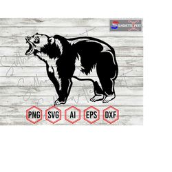 Roaring Bear svg, Bear silhouette 8, Bear svg, Grizzlies svg, Angry Bear svg - Clipart, Cricut, CNC, Vinyl Cutter, Decal