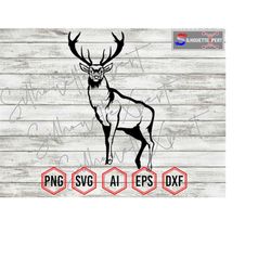 deer silhouette 1, deer svg - clipart, cricut, cnc, vinyl cutter, decal sticker, t-shirt file.