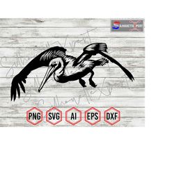 flying pelican svg, pelican hunting svg, pelican svg, silhouette - clipart, vector, cricut, cnc, vinyl cutter, decal sti