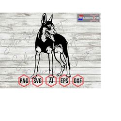 standing belgian malinois silhouette 8, belgian malinois svg, belgian k9 svg, dog svg, cricut, vinyl cutter, decal stick