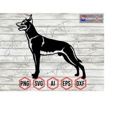 Belgian Malinois Silhouette 6, Belgian Malinois Svg, Belgian Canine K9 Svg, Dog Svg, Cricut, Vinyl Cutter, Decal Sticker