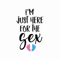 i'm just here for the sex svg png eps pdf files, pink or blue svg, gender reveal svg, baby announcement svg, baby reveal