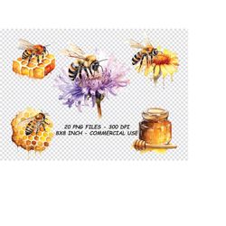 watercolor honey bee clipart, honey bee clipart png, honey bee png for commercial use transparent background