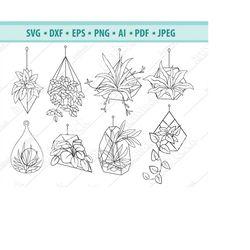 plants svg, potted plants svg, houseplants svg, flower pot clipart, gardening svg, hanging plants in pots, file for cric