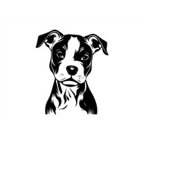 PITBULL SVG, PITBULL Clipart, Pitbull Svg Files For Cricut, Pitbull Silhouette Svg, American Pitbull svg