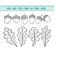 acorn svg file, autumn svg, acorn clipart, acorn cut files, oak leaves svg, fall svg, dxf, png, eps, nut svg, acorns cli