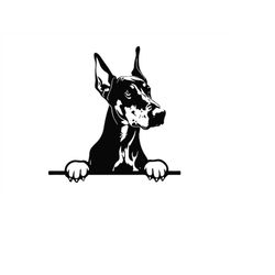 peeking dobermann svg, peeking dobermann clipart, peeking dobermann svg files for cricut