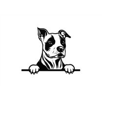 peeking amstaff svg, peeking amstaff clipart, peeking amstaff svg files for cricut