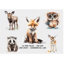 woodland animals clipart watercolor png, woodland animals clipart png files, transparent background png