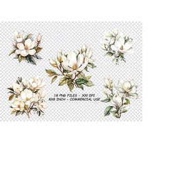 magnolia flower watercolor clipart, magnolia flower watercolor png files, transparent background png