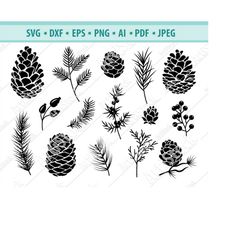 pine cone svg, fall svg, woodland pine cone svg, autumn plant svg, conifer cone svg, pine cone clipart, pinecone cut fil