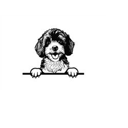 peeking cavapoo svg, peeking cavapoo clipart, peeking cavapoo svg files for cricut