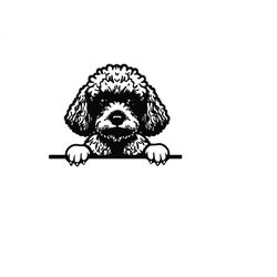 peeking poodle svg, peeking poodle clipart, peeking poodle svg files for cricut