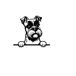 peeking miniature schnauzer svg, peeking miniature schnauzer svg files for cricut