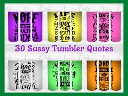 30 sarcastic / funny / sassy tumbler design bundle - png images - 20 oz skinny tumbler designs sublimation printing