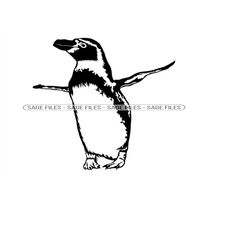 humboldt penguin 2 svg, penguin svg, penguin clipart, penguin files for cricut, penguin cut files for silhouette, png, d