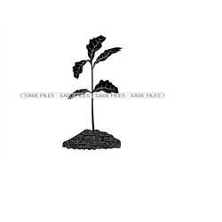 sapling tree svg, tree svg, planting svg, gardening svg, sapling tree clipart, files for cricut, cut files for silhouett