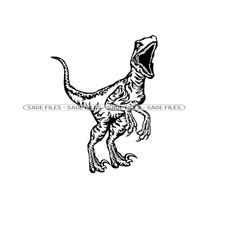 Raptor SVG, Dinosaur Svg, Raptor Clipart, Raptor Files for Cricut, Raptor Cut Files For Silhouette, Raptor Png, Dxf,