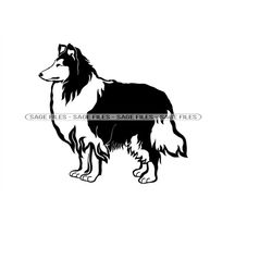 collie svg, rough collie svg, dog svg, collie clipart, collie files for cricut, collie cut files for silhouette, png, dx