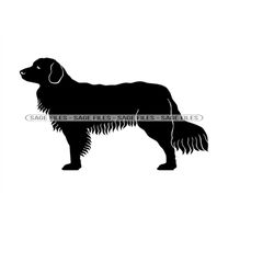 nova scotia duck tolling retriever svg, dog svg, clipart, files for cricut, cut files for silhouette, png, dxf