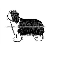 Bearded Collie Svg, Dog Svg, Bearded Collie Clipart, Bearded Collie Files For Cricut, Cut Files For Silhouette, Png, Dxf