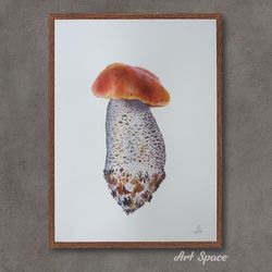 original watercolor painting "orange-cap boletus" botanical illustration, photorealism, interior decoration, plant