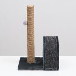 cat scratching post